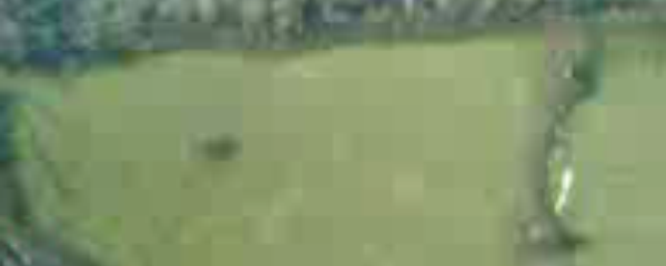 202m